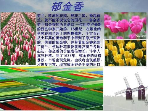 客源国——荷兰ppt