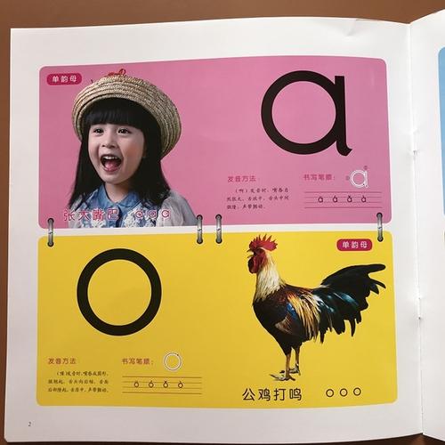 岁幼儿童早教启蒙卡幼儿园小中大班声母韵母拼音字母卡片全套学习教具