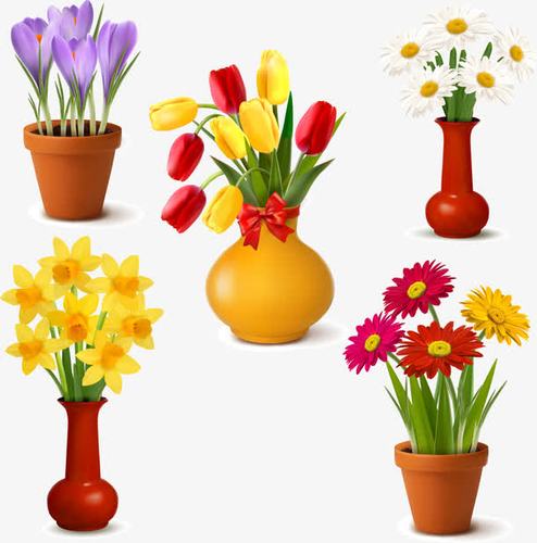 花盆,花瓶,花朵,菊花,葵花,免费矢量下载