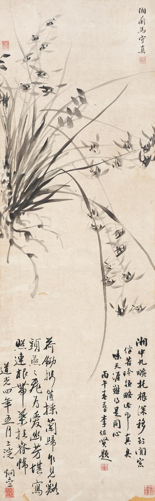 马湘兰(1548～1604) 兰草 立轴 水墨纸本