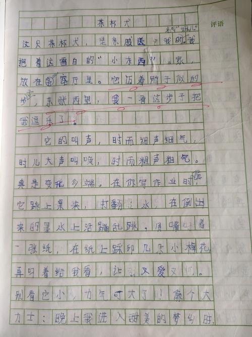 樊玥瑶《茶杯犬》