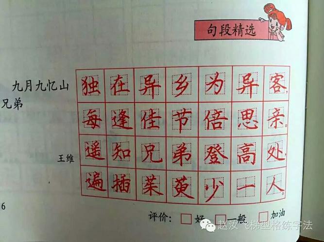 赵汝飞梯形格练字网络课程