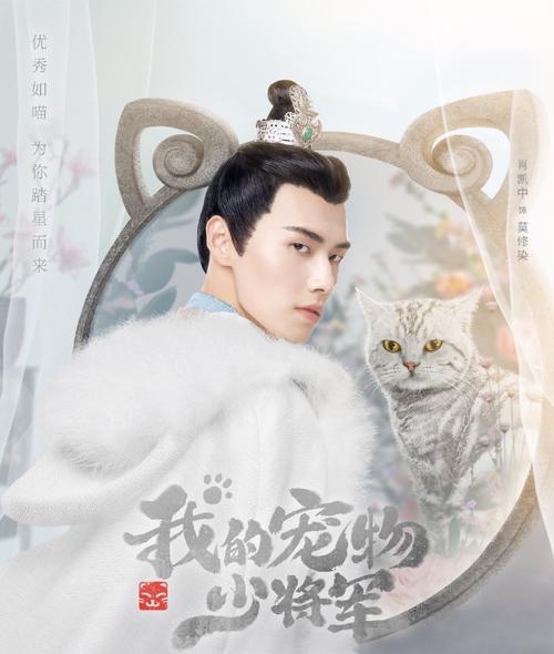 人猫恋?如蜜糖!网剧《我的宠物少将军》探索甜宠剧新玩法!