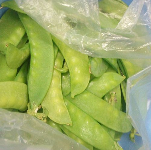 扁豆(荷兰豆)炒菌菇的做法图解1