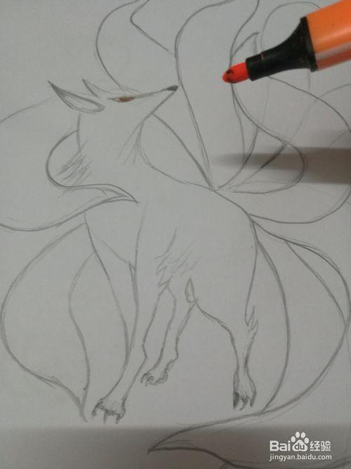 1 先用铅笔画出九尾狐头,灵睿的耳朵尖尖的, 2 再画出灵狐的娇小身材