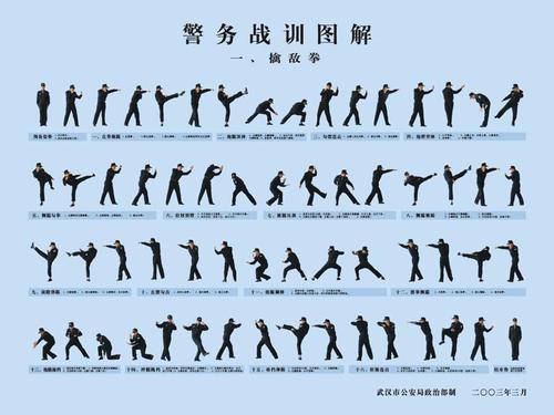 其基本动作脱胎于现代拳击和散打,它比原有20动擒敌拳更实用,16动