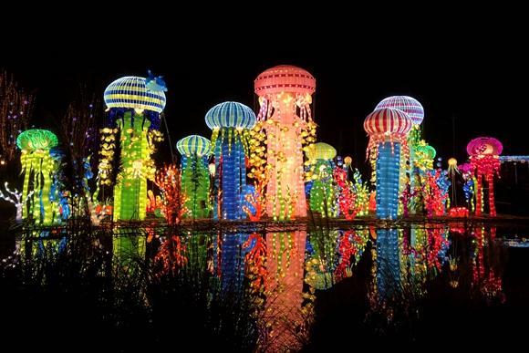 闹新春了 第50届成都国际熊猫灯会正式亮灯