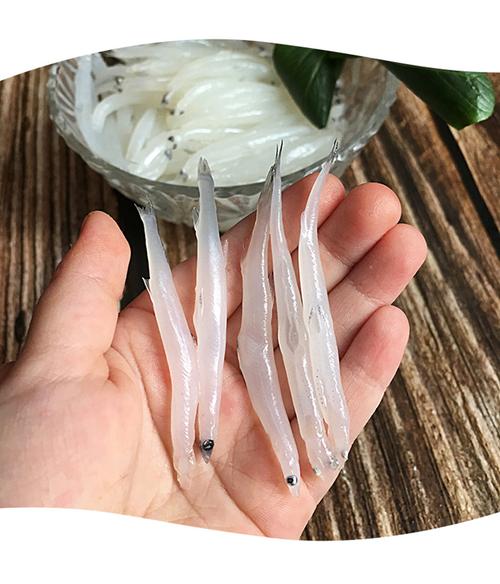 新鲜活冻野生小银鱼 面条鱼 250克