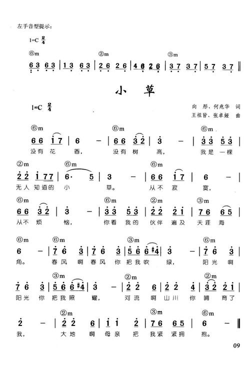 即兴伴奏儿歌 小草,电子琴,电子琴入门,电子琴入门教程,电子琴简谱