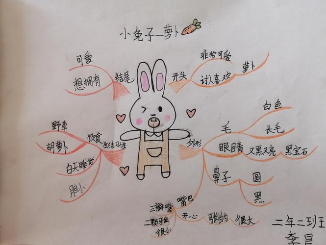 思维导图八-小动物作文