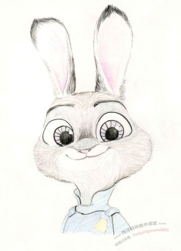 海洋妈咪美术课堂疯狂动物城朱迪兔