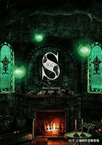 斯莱特林的小哈迷