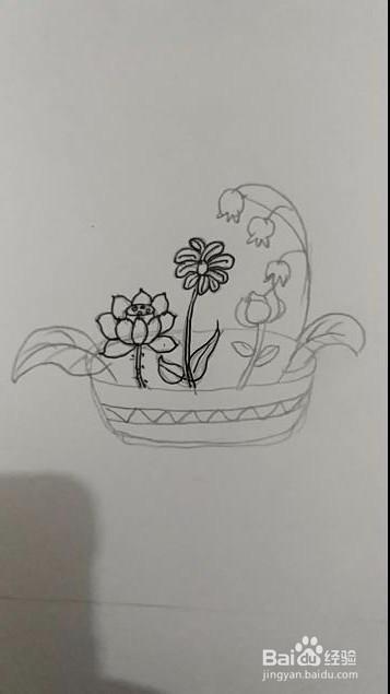 简笔画:盆中花的画法