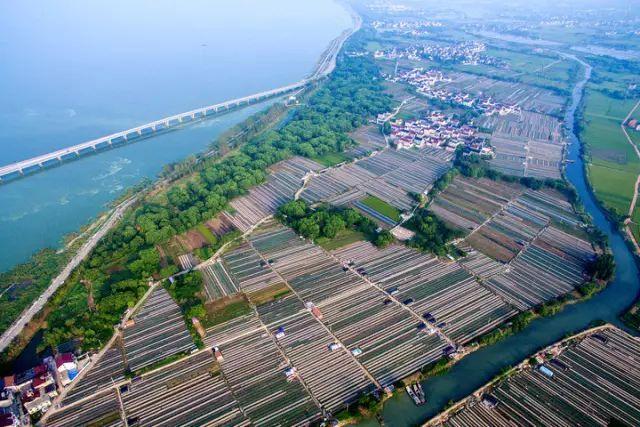 太湖水清,渔民先知,渔村盛景更胜往昔!