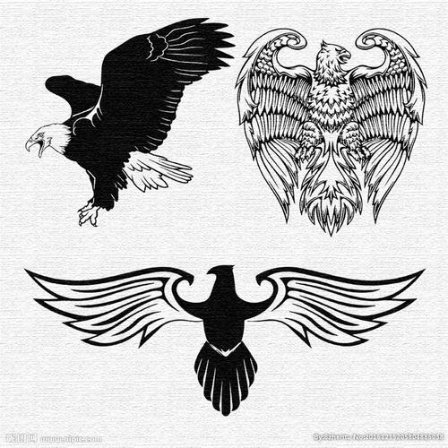 鹰图案图片