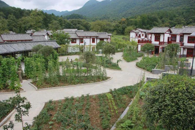 通江空山:昔日"红色"战场 今日"候鸟"天堂