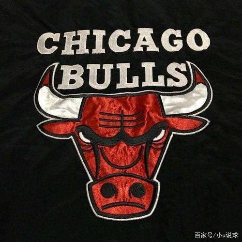 30天30队之芝加哥公牛队