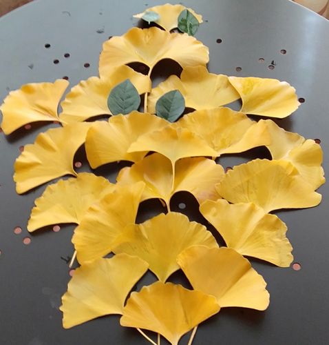 扇形银杏叶,摆个图案,自我欣赏.