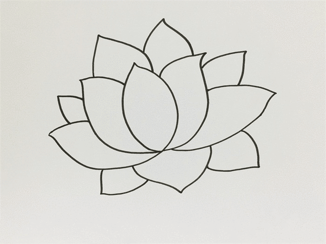 荷花简笔画图片 花怎么画