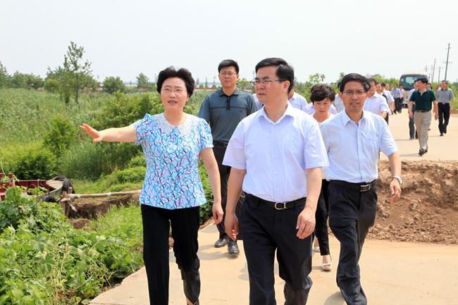 镇江市丹徒区人民政府