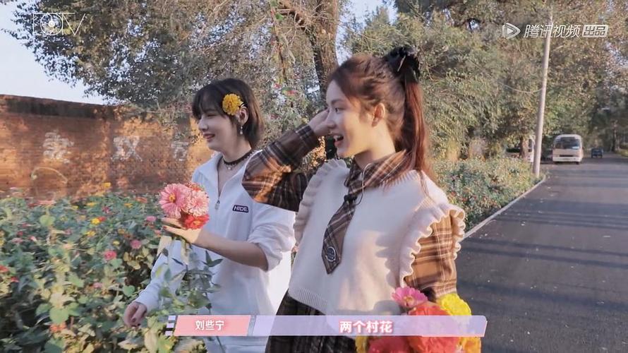 两个村花