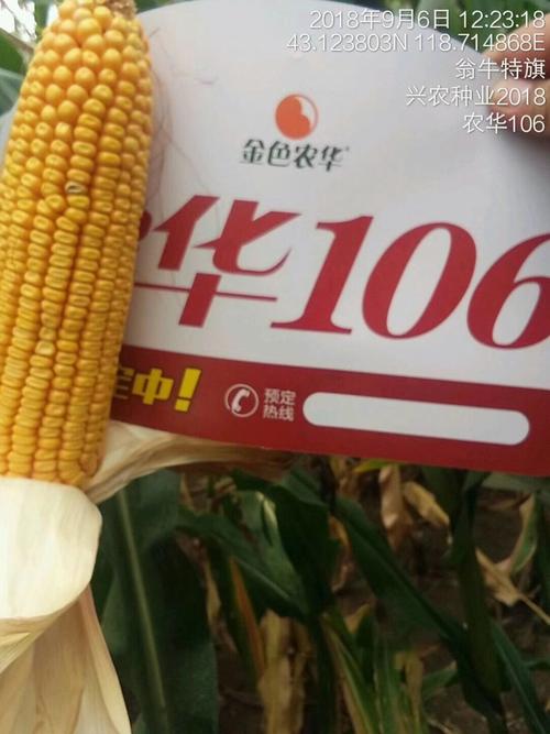 翁旗兴农种业玉米新品种,肥料展示