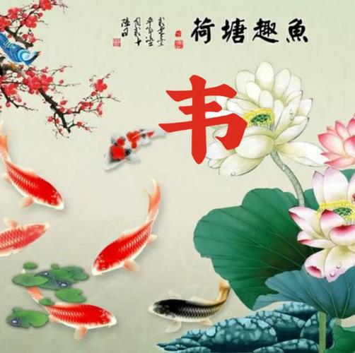 几款寓意好带花微信头像姓氏壁纸送给你心态好一切都好