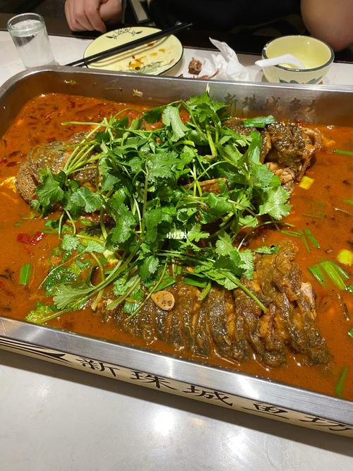 蚌埠新珠城鱼坊95_新珠城鱼坊(阿卡店)攻略_新珠城鱼坊(龙湖店)