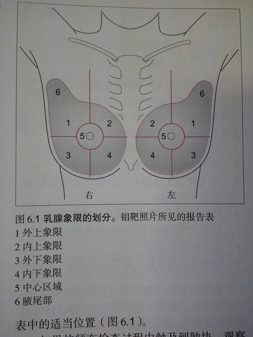 lianghao对《实用乳腺x线照相》的笔记(6)