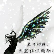 谁说人不能飞上高空,那是因为没有梦的翅膀,所以,请展开翅膀,飞往属于