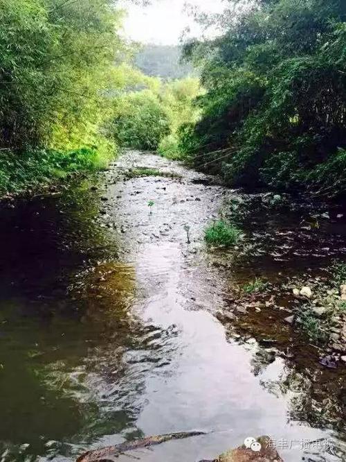 海丰西坑林场:风景秀丽,天然氧吧!周末走一个