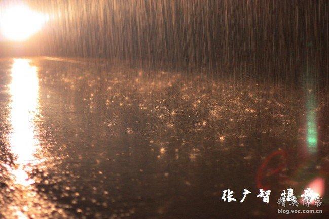秋雨夜 拍雨滴
