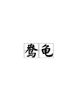 鸯龟