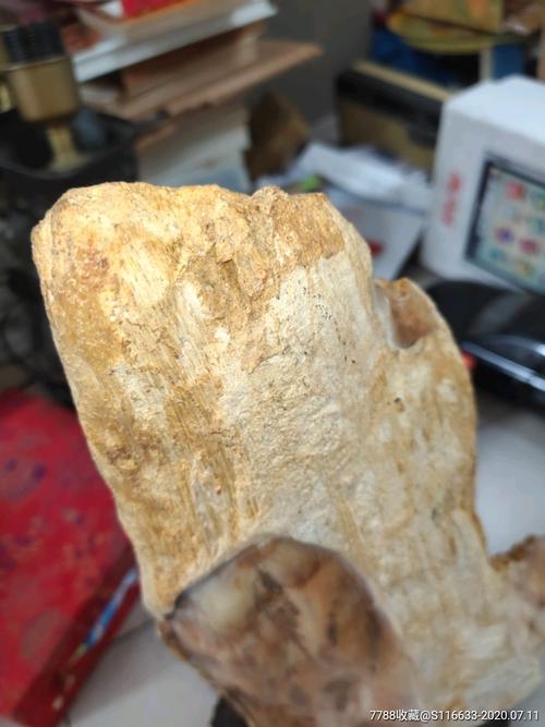 玉,化石!摆件一个,仔细看图片,自鉴!