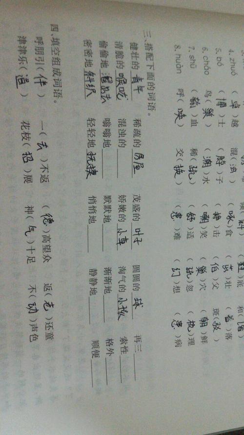 第三题搭配词语怎么写