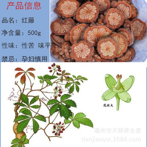 批发中药材红藤 选装大血藤 血通(大片) 清热解毒 活血 量大从优