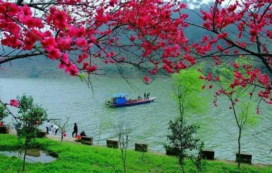 【自驾游po攻略】烟花三月来踏青—最美腻的春游攻略!