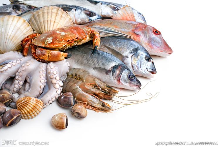 海鲜图片