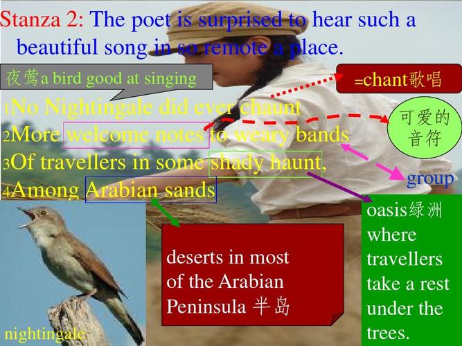 the solitary reaper 详细赏析ppt
