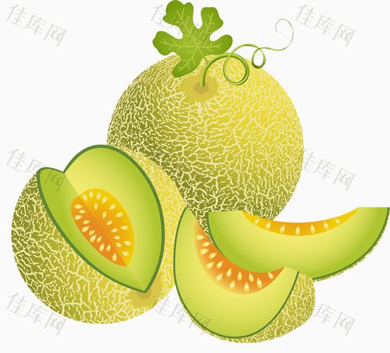 绿色哈密瓜_卡通手绘_1000*906px_编号9577799_png