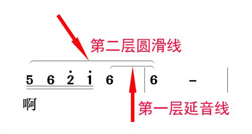 连音线和圆滑线有何区别