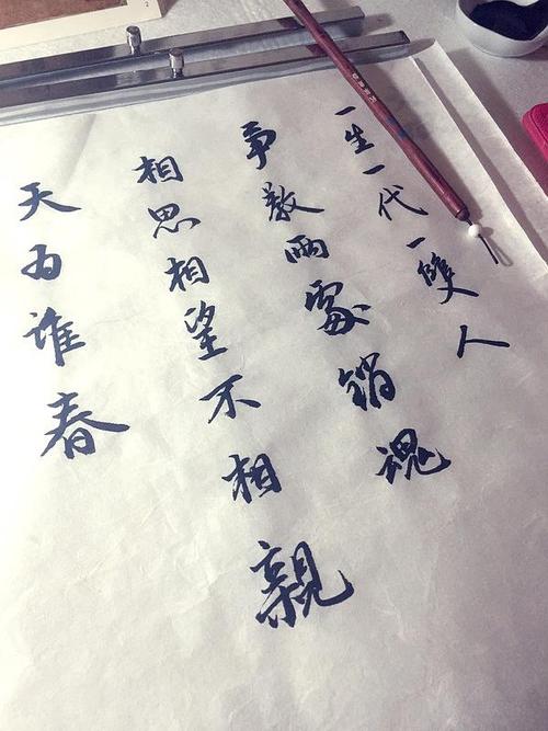 一生一代一双人,真教两处销魂