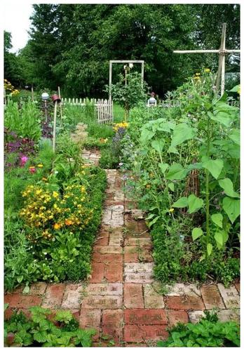 有个花园不如种菜,菜能吃,花园也美,很棒的!