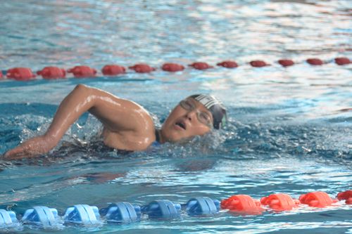 其它 梦之星游泳比赛 写美篇 女子800米自由泳,11岁的双胞胎姊妹花