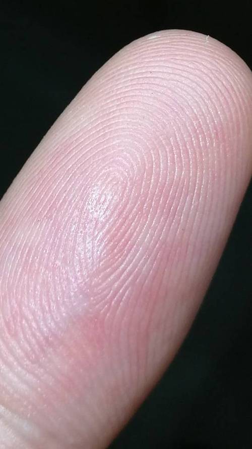 这个指纹是斗还是簸箕