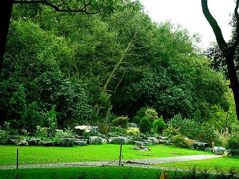 辰山植物园风景——绿色港湾