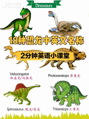亲子英语|18种常见恐龙中英文名称合集_恐龙_亲子_英语_薯宝宝_英语