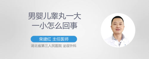 睾丸一大一小正常吗