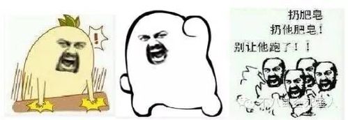 你不知道他们是谁,但他们一定活在你的表情包里