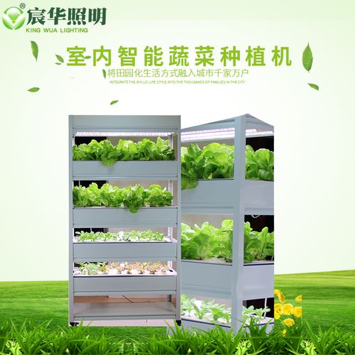 家用无土栽培机实验试智能水培设备机有机蔬菜种植机自动浇灌水培